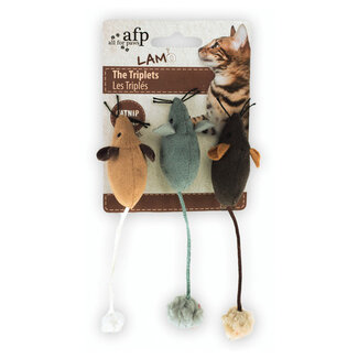 All for Paws De drieling