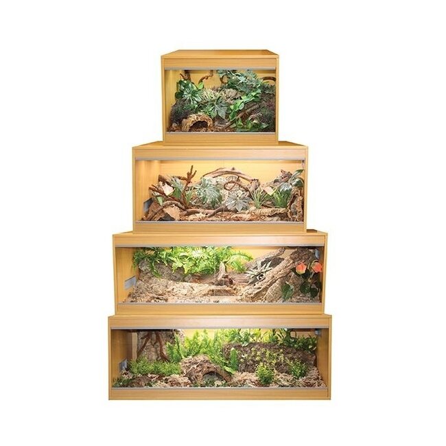 Komodo Ecology Habitat
