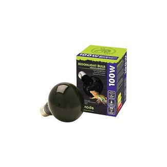 Komodo Komodo Moonlight Bulb ES