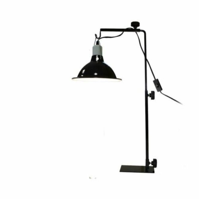 Komodo Light Stand Single
