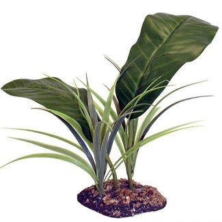 Komodo Komodo Evergreen Canopy