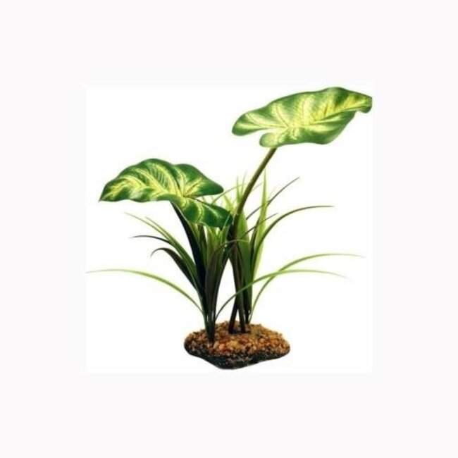 Komodo Broadleaf Canopy