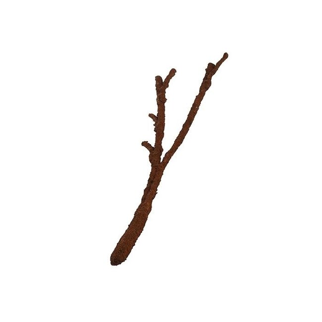 Komodo Tropical Vine Branch