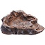 Komodo Terraced Dish Brown