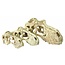 Komodo T-Rex Skull