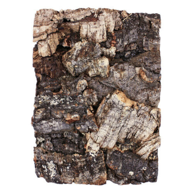 Komodo Cork Terrarium Background Natural