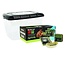 Komodo Basic Giant African Land Snail Kit