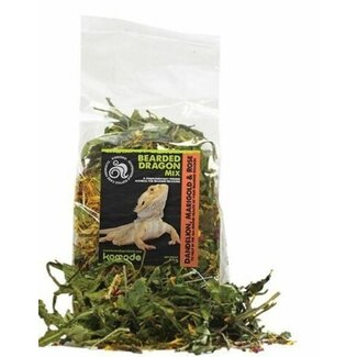 Komodo Komodo Bearded Dragon Mix 80g