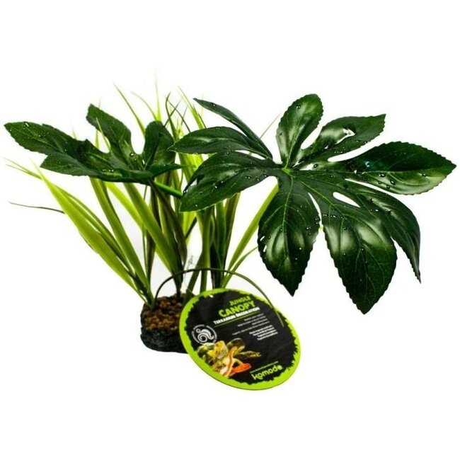 Komodo Jungle Canopy 42cm