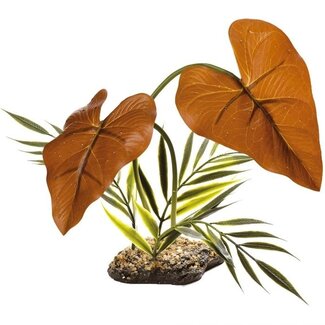 Komodo Komodo Rainforest Canopy 38cm