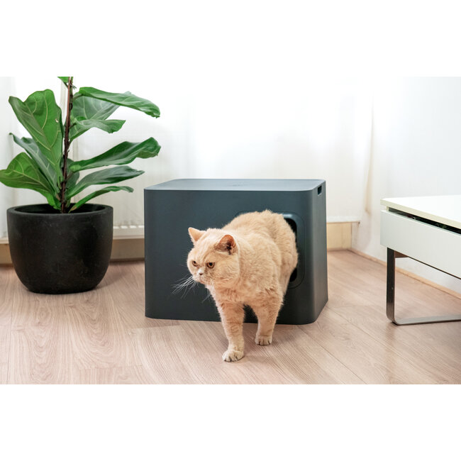 Hoopo Dome Kattenbak Grijs