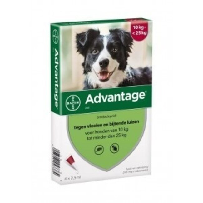 Advantage Hond 4 pip - Anti vlooien en luizenmiddel - 2.5 ml 10-25kg. THT 31-7-2023 - Copy
