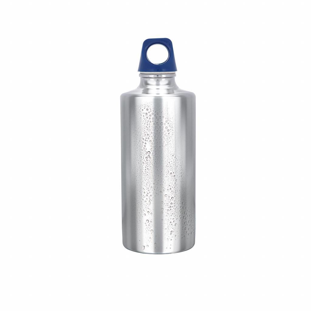 Stainless Bottle 1000