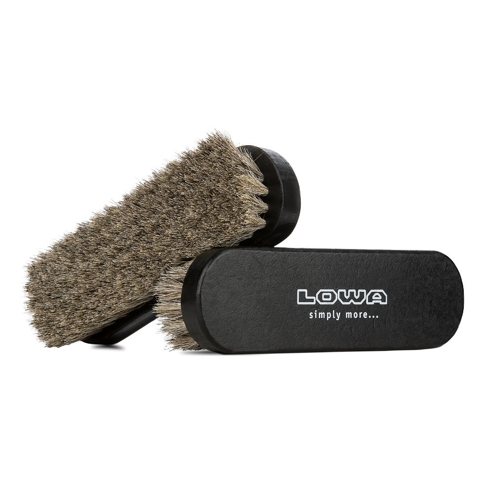 Polishing Brush