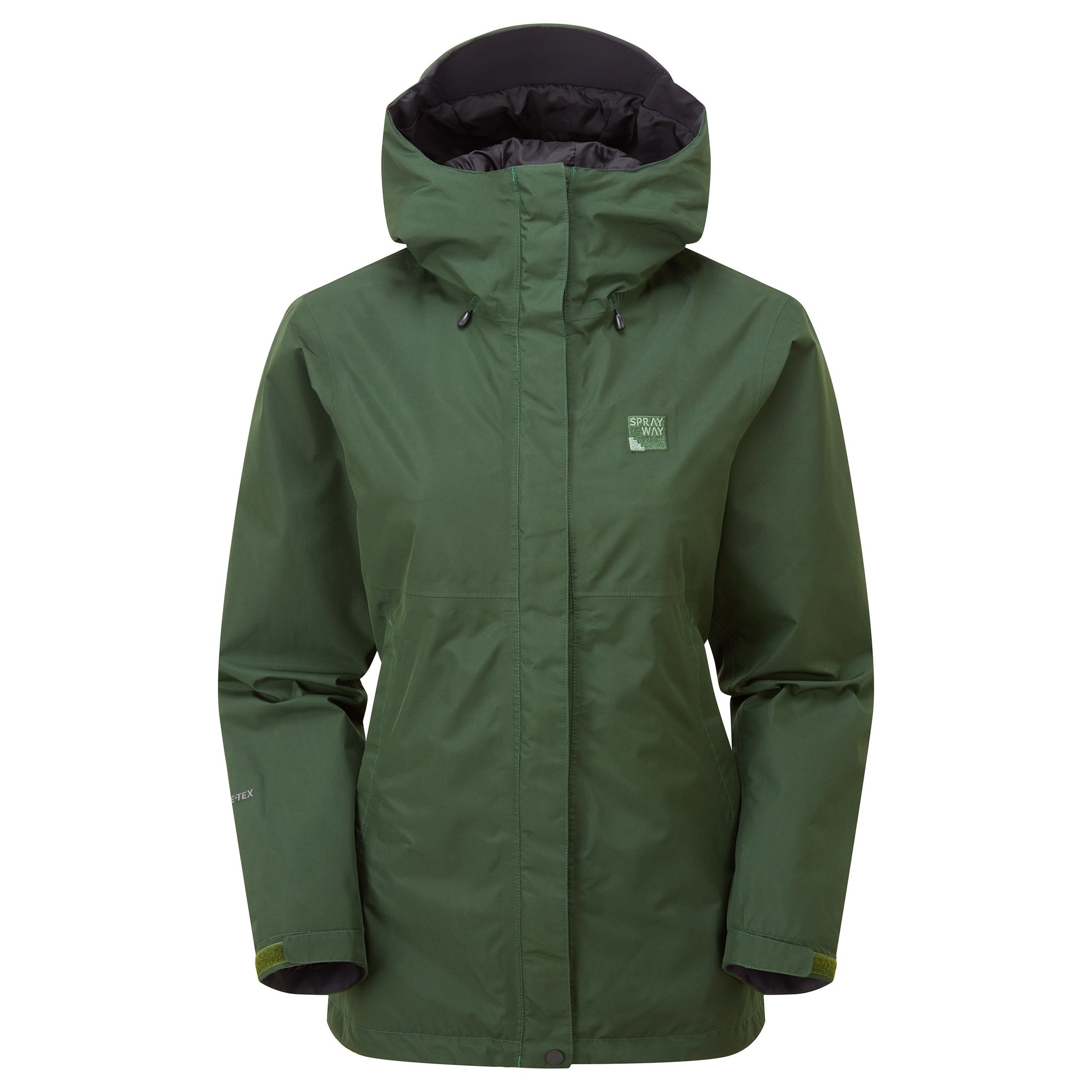 Era Women GTX Rain Jacket (Mountain View)