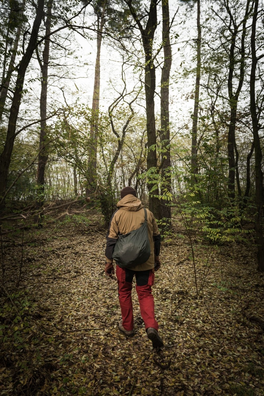 Caryall Backup Bag (Olive Green)