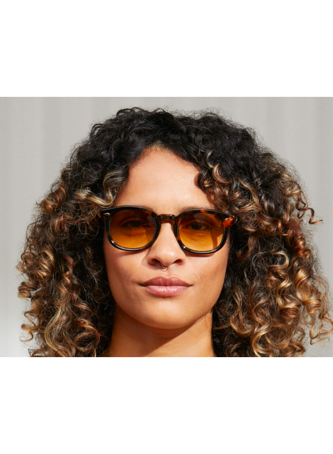 Mekler Sun - Classic Havana Chestnut Fade