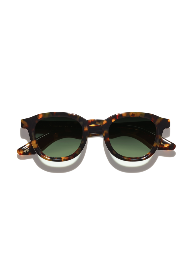 Dahven Sun – Tortoise Forest Wood