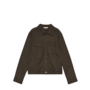 Mind Shirt 3619 - Chocolate