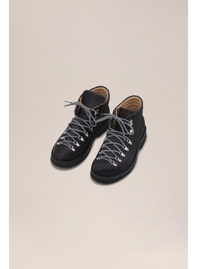 NN.07 x Fracap M127 - Grey Pony