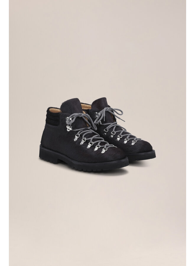 NN.07 x Fracap M127 - Grey Pony