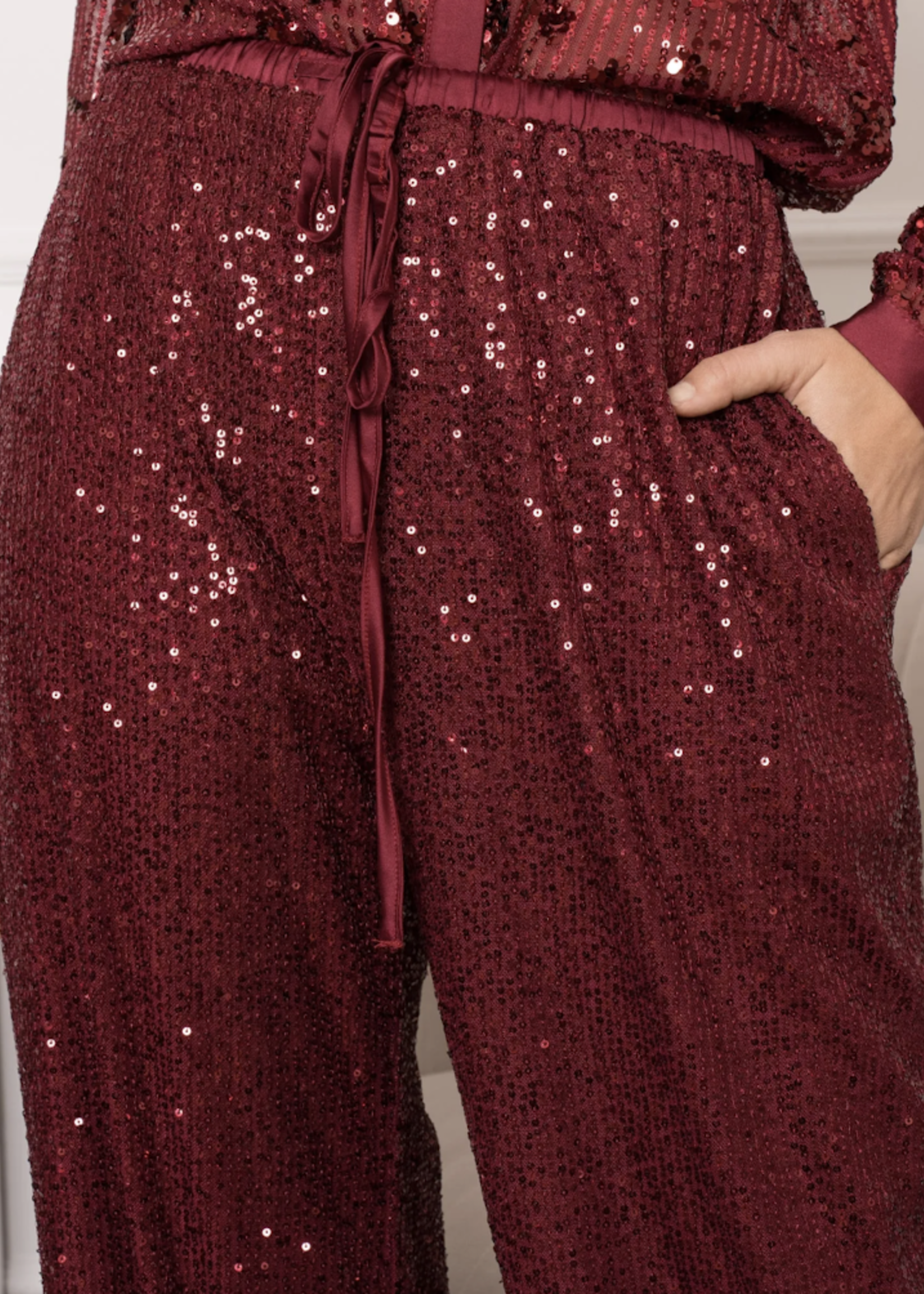 Pantalon fluide Olga sequins