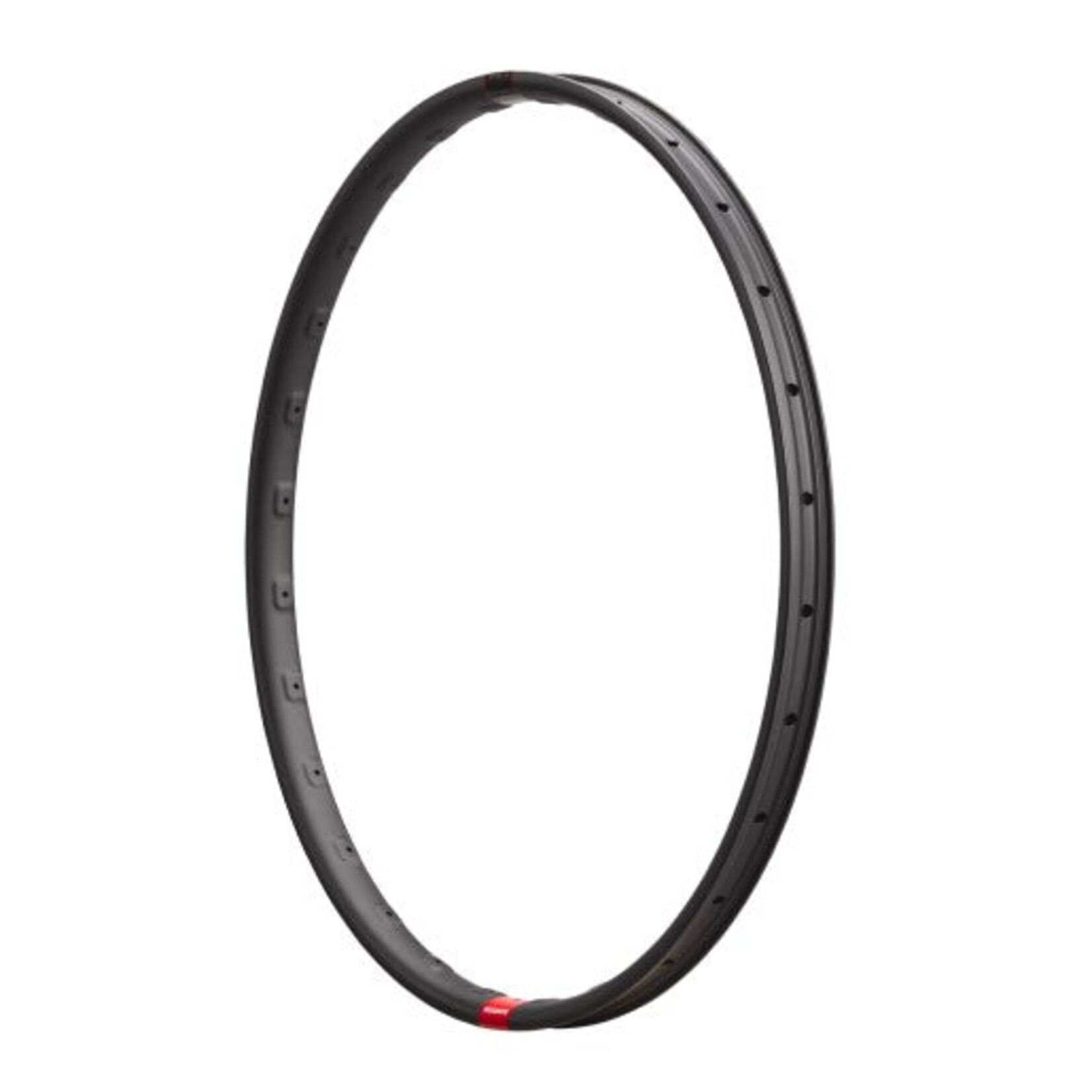 Santa Cruz SJ Reserve 30DH 29 front 28h aftermarket rim