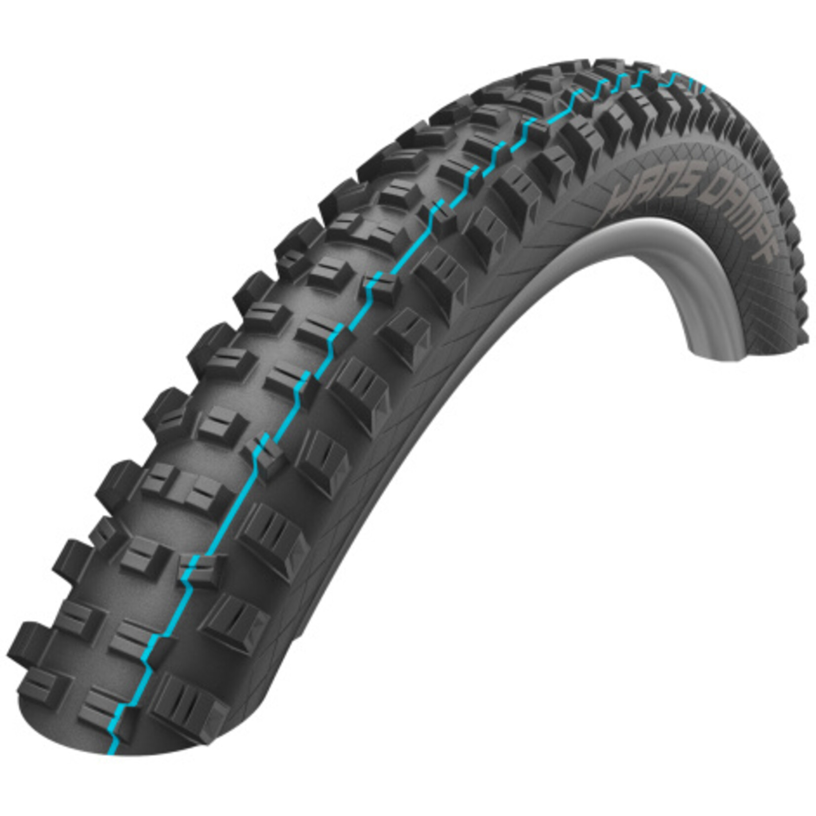 Schwalbe Schwalbe Hans Dampf 29 x 2.60 SuperTrail TLE SGrip