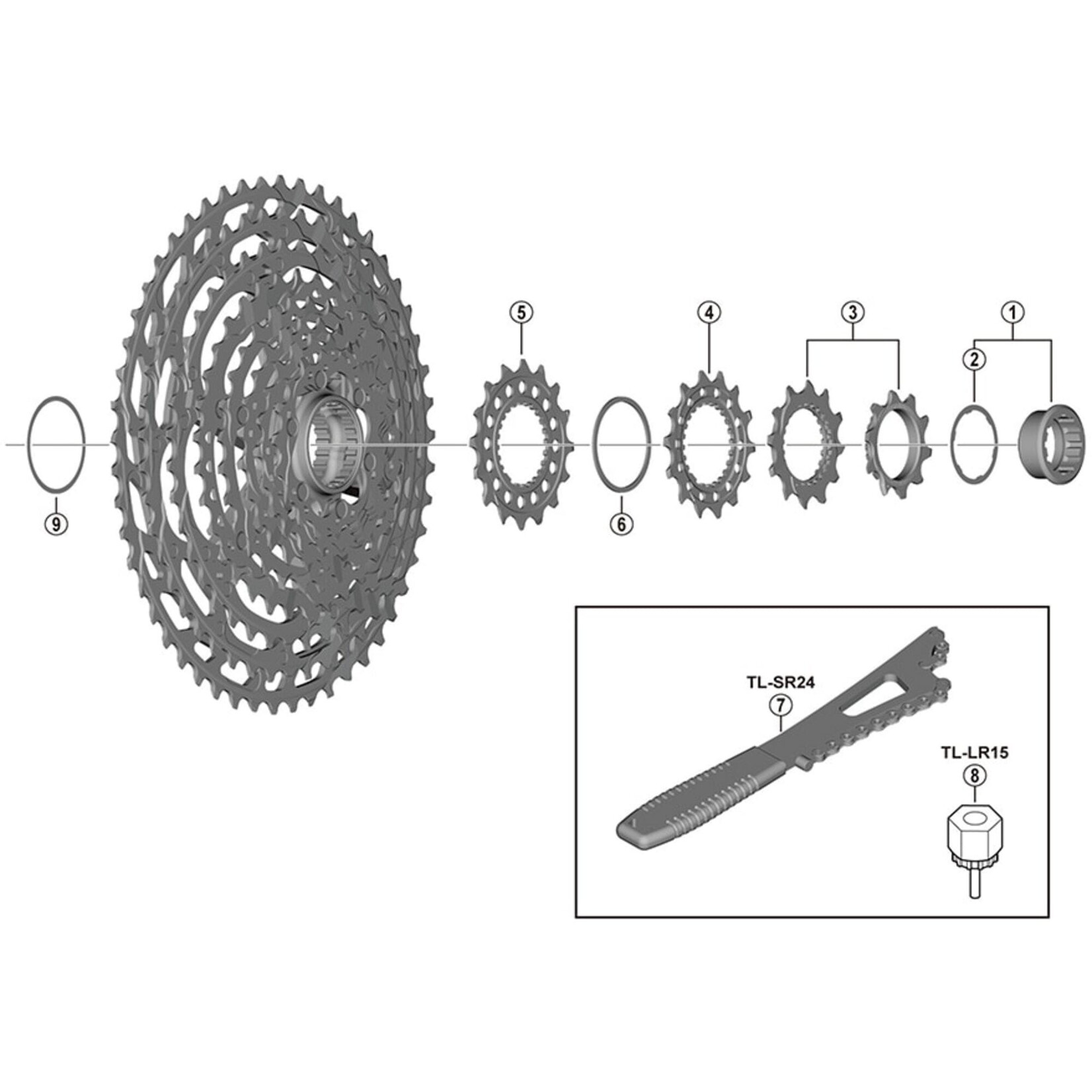 Shimano CS-M9100 sprocket wheel, 10T and 12T