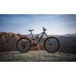 AmFlow Amflow PR Carbon - Moss Green