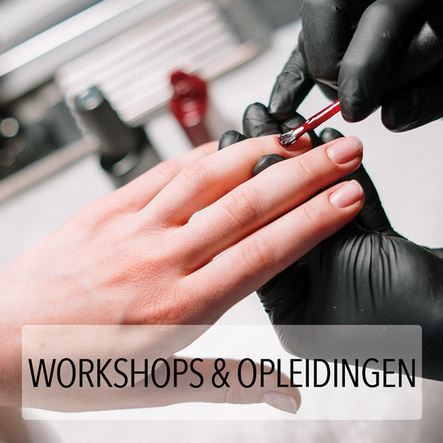 Opleidingen & Workshops