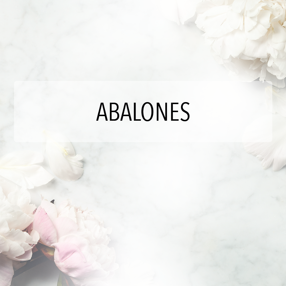 Abalones