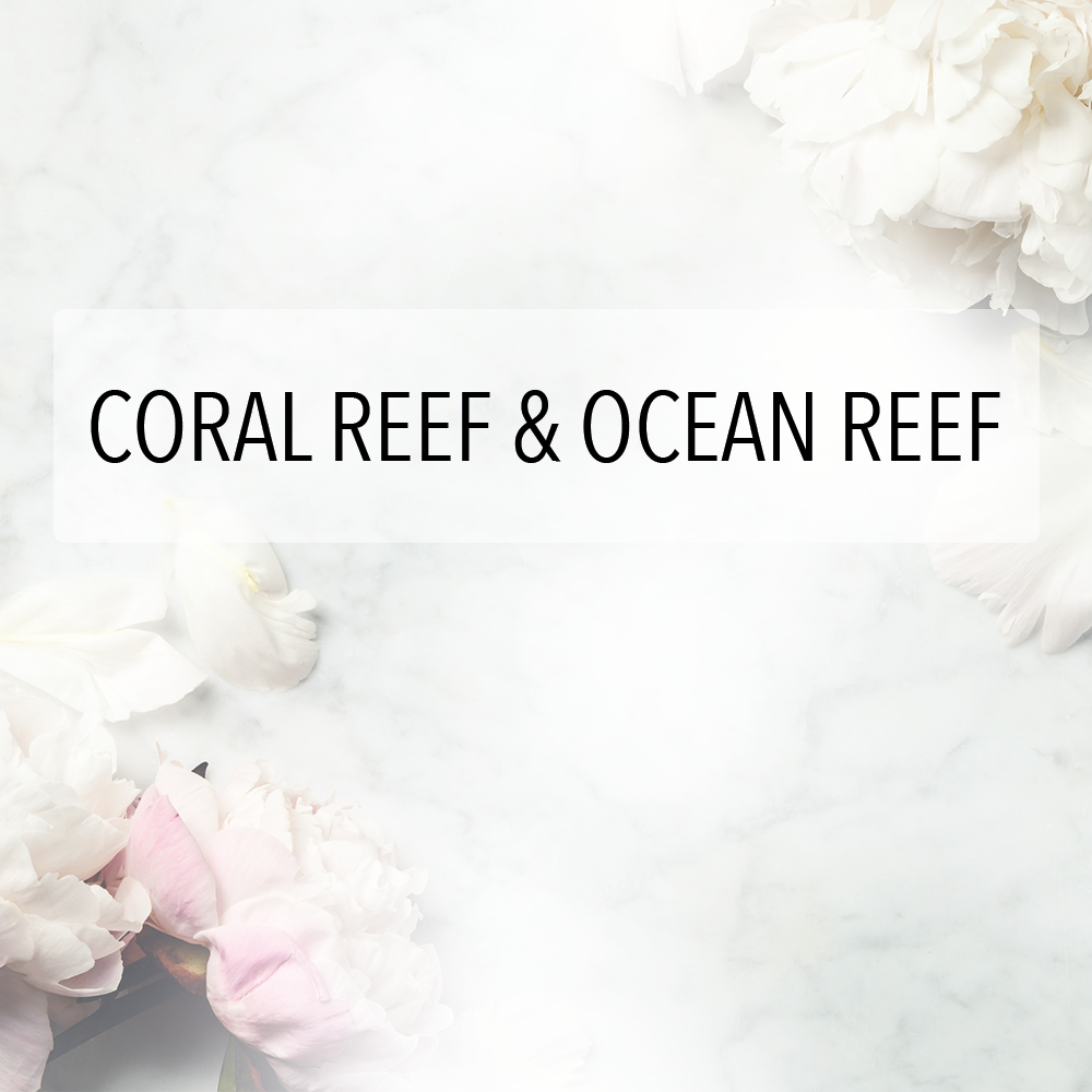 Coral Reef & Ocean Reef