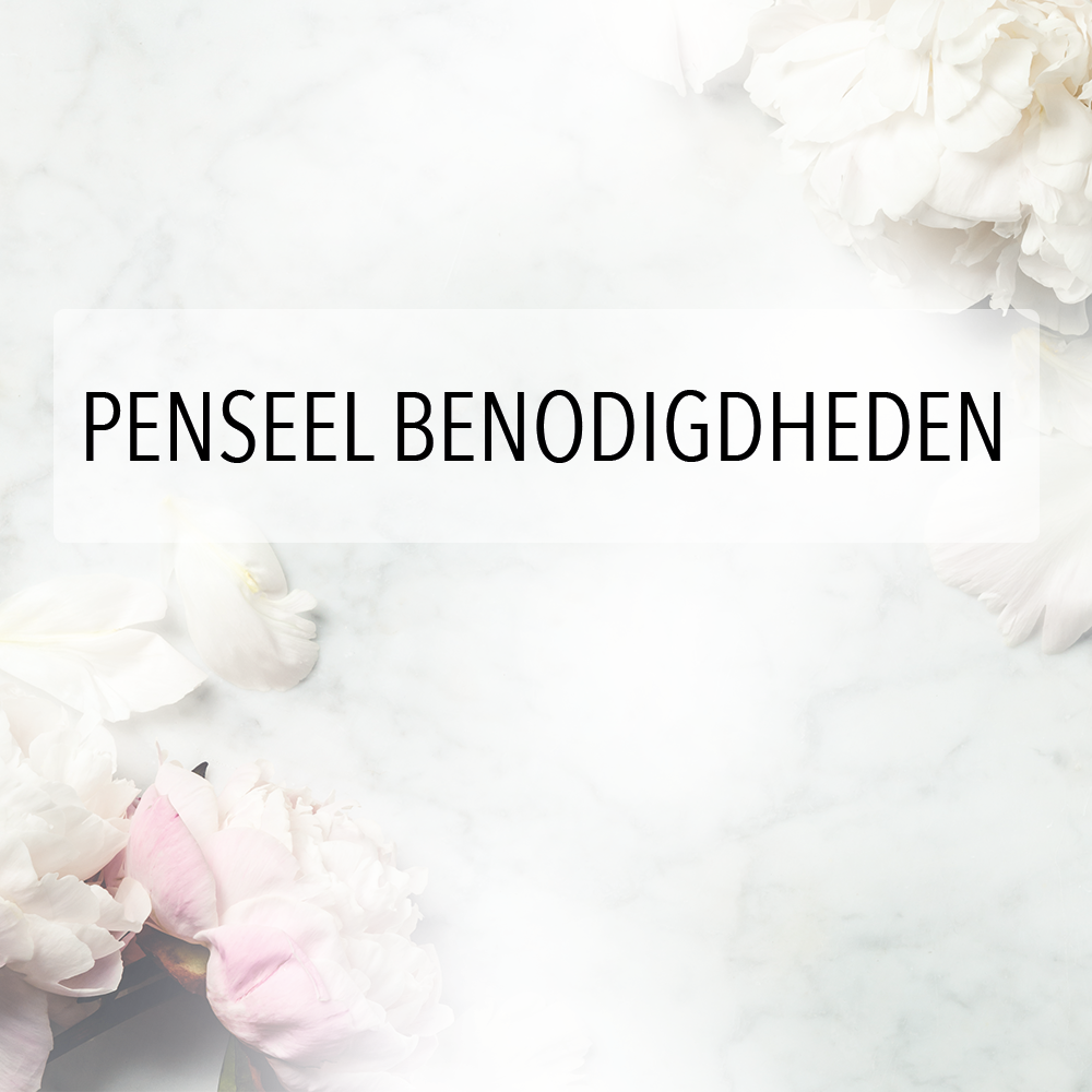 Penseel benodigdheden