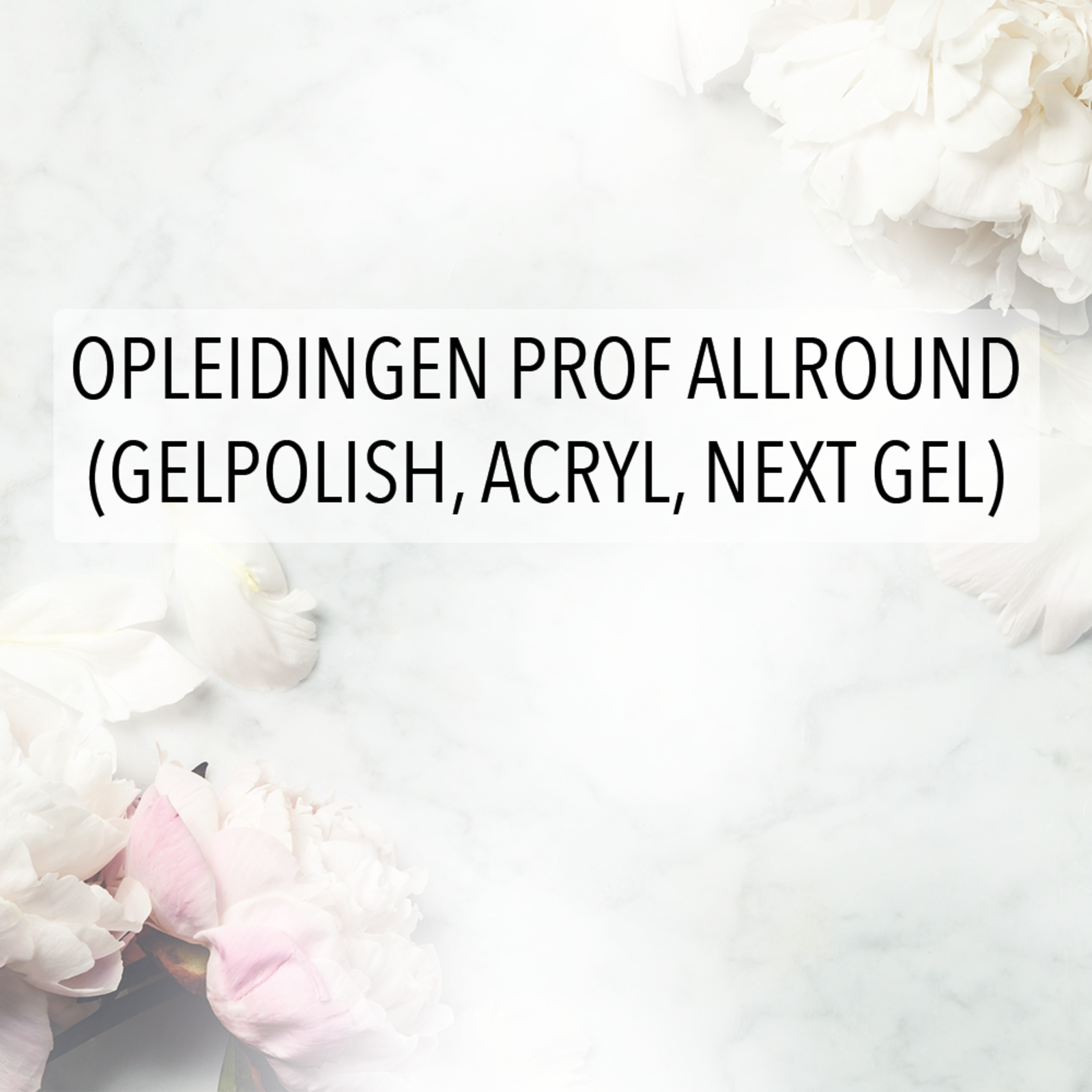 Opleiding  prof allround (gelpolish, Acryl,neXt gel )