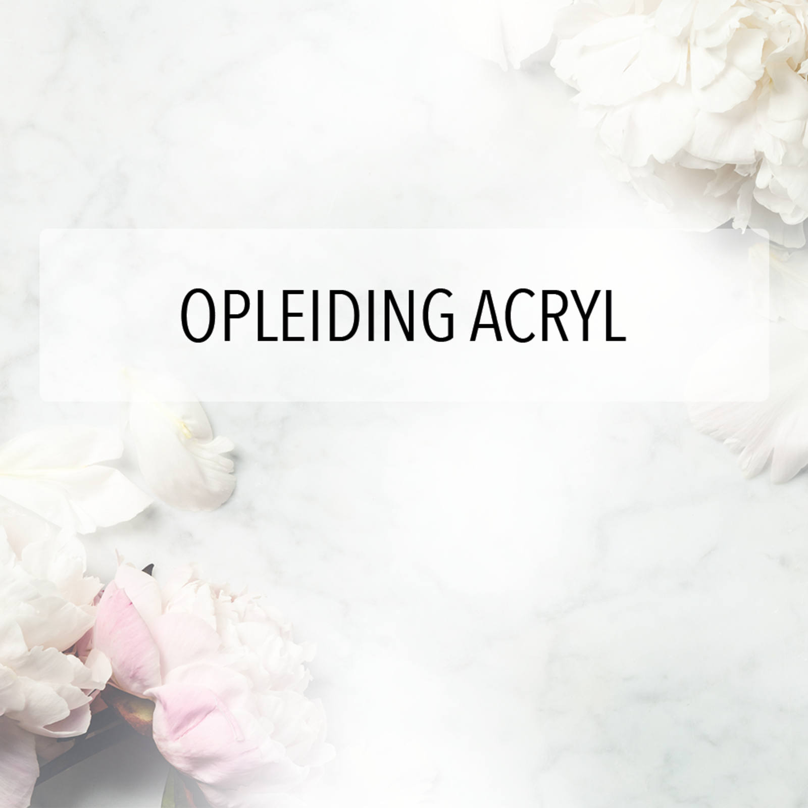 Opleiding acryl