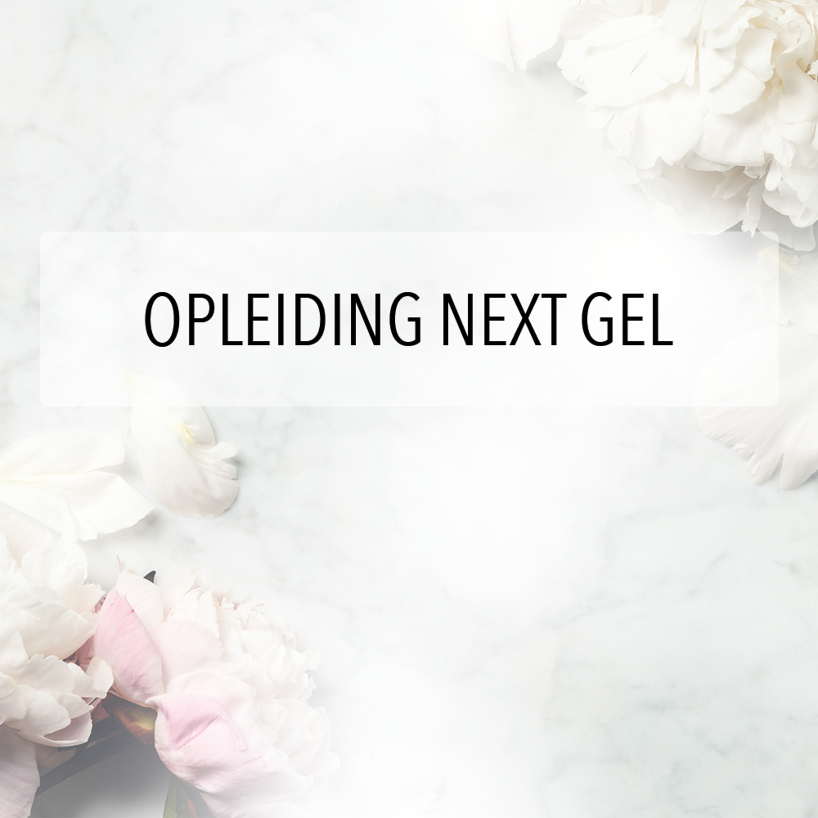 Opleiding NeXt Gel