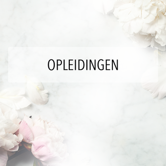 Nagelstyliste opleidingen & workshops Nagelstyliste opleidingen & workshops