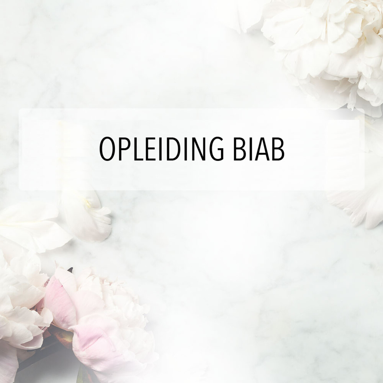 Opleiding BIAB 3 Dagen met E-manicure