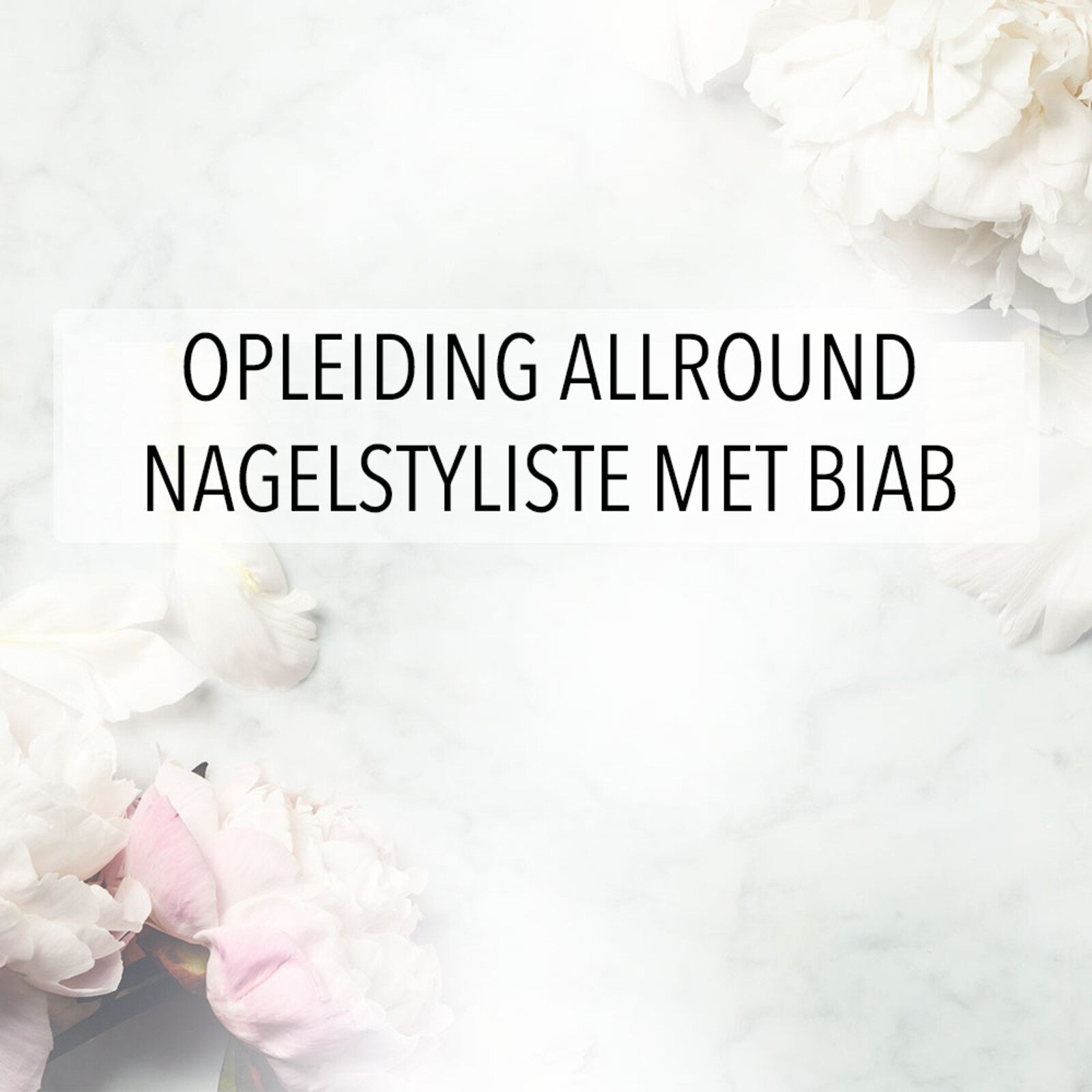 Opleiding Allround Nagelstyliste Met Biab