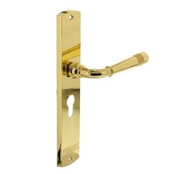 Intersteel Deurklink Helena op schild profielcilindergat 55 mm messing gelakt Intersteel Deurklink Helena op schild profielcilindergat 55 mm messing gelakt