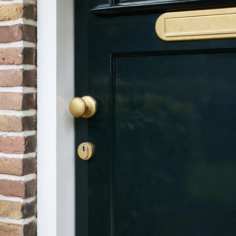 Intersteel Intersteel Brievenbus voordeur ovaal met klep en regenrand PVD messing getrommeld | De Oude Deurklink Intersteel Intersteel Brievenbus voordeur ovaal met klep en regenrand PVD messing getrommeld | De Oude Deurklink
