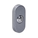 Intersteel Intersteel Deurbel voordeur ovaal RVS getrommeld - verdekte montage (65x30x10mm) | De Oude Deurklink Intersteel Intersteel Deurbel voordeur ovaal RVS getrommeld - verdekte montage (65x30x10mm) | De Oude Deurklink
