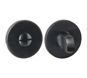 Intersteel WC-sluiting verdekt PVD zwart