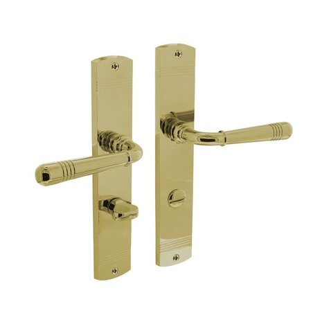 Intersteel Deurklink Helena op schild 235x45x8 mm met wc63/8 mm messing gelakt Intersteel Deurklink Helena op schild 235x45x8 mm met wc63/8 mm messing gelakt