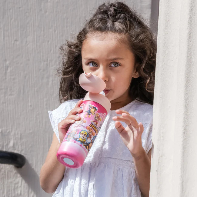 Stainless Steel Sippy Cup. Paw Patrol Keeps Drinks Warm/cold For Hours