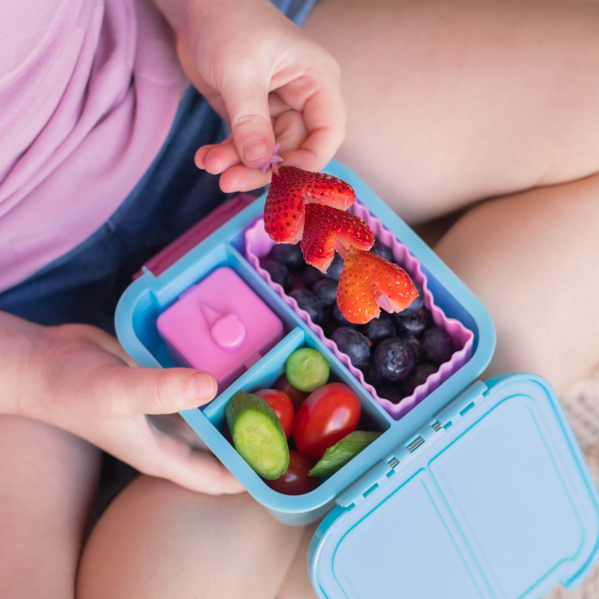 Little lunch box co deals