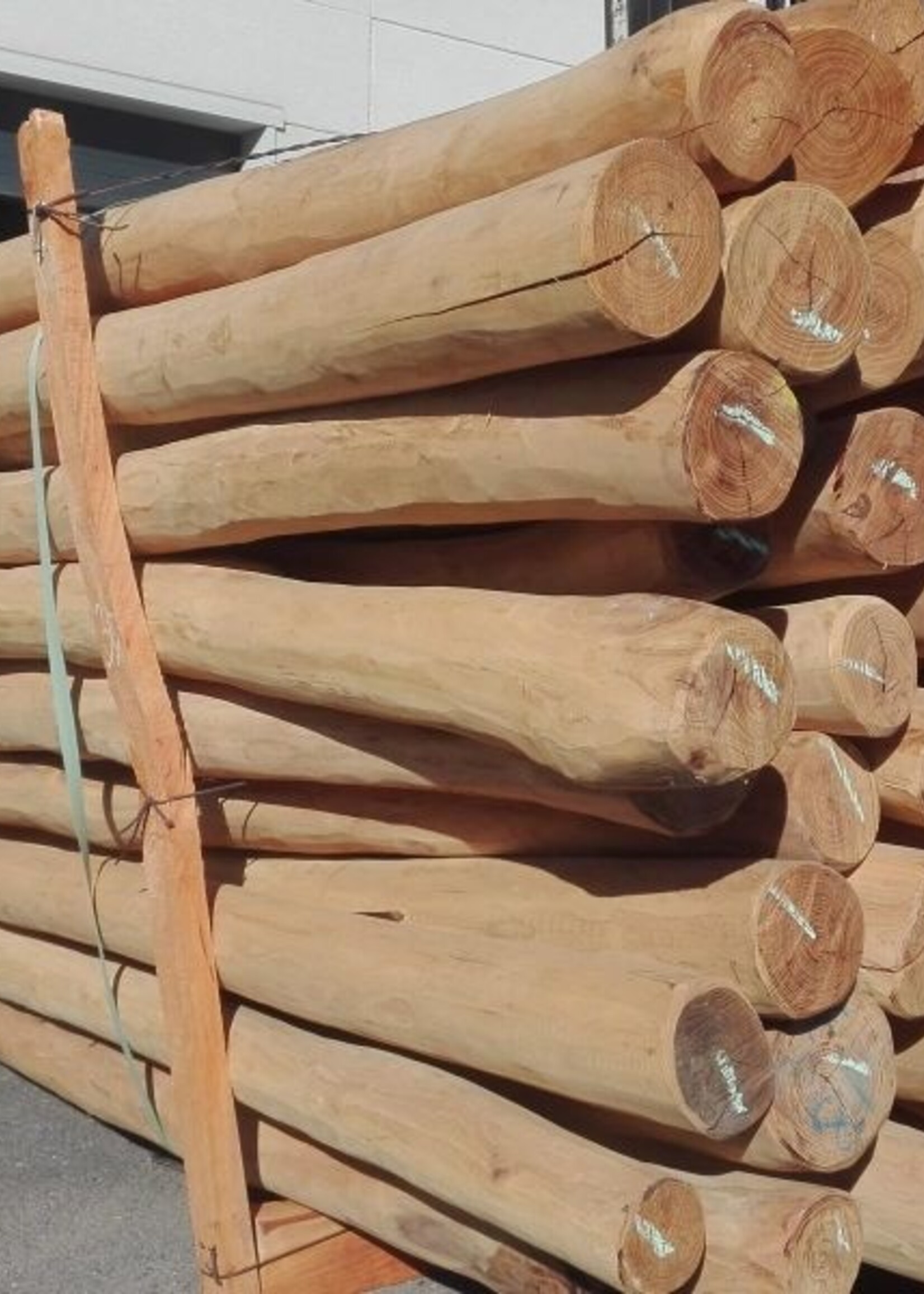 Zwood Robinia palen 4 m1