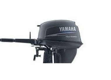Yamaha FT9.9D