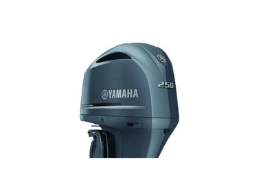 Yamaha F250D